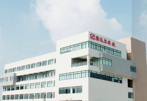 五年四换会计师事务所，康达尔信披违规背后的转型焦虑