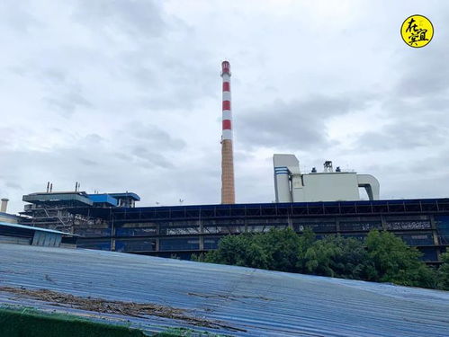 年营收309亿，41年历史的宜宾老厂搬迁背后的城市蝶变